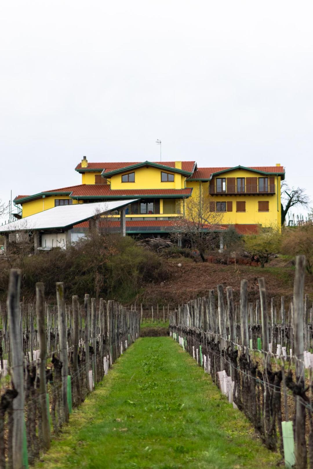 Agriturismo Nema Mossa ภายนอก รูปภาพ